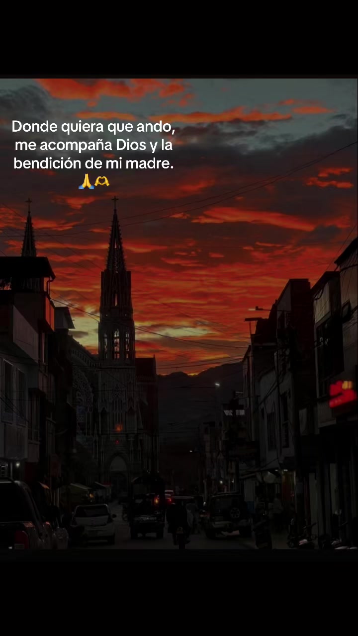@daniela503.11
