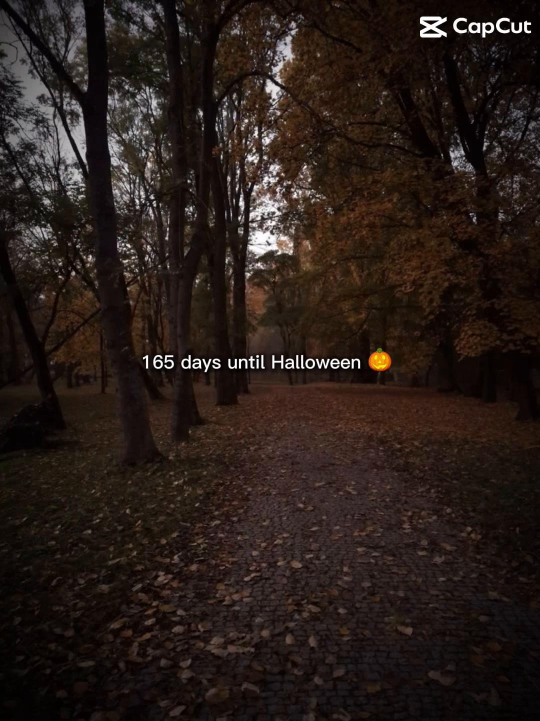 @Halloween count down