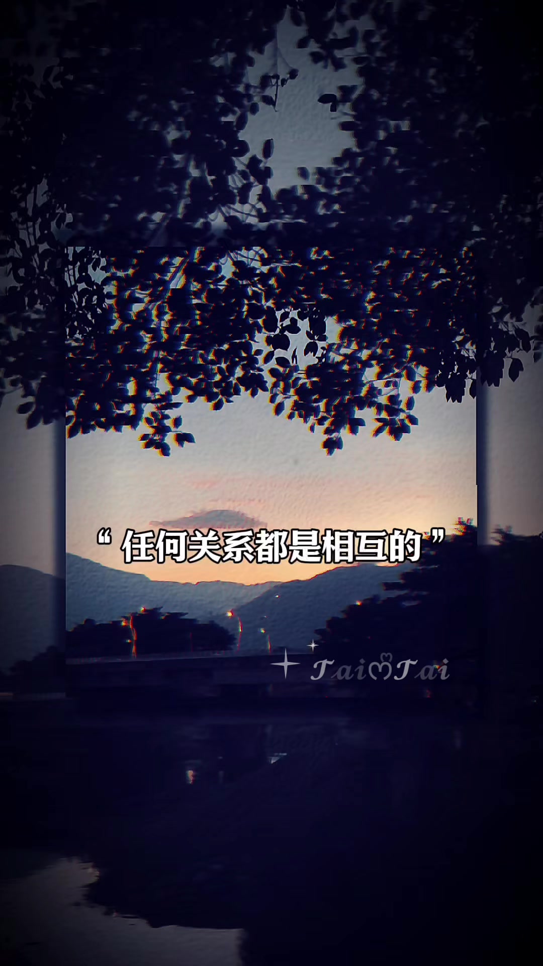 @ꨄ︎ ྀི𝕿𝖆𝕴જ⁀➴ꨄ︎