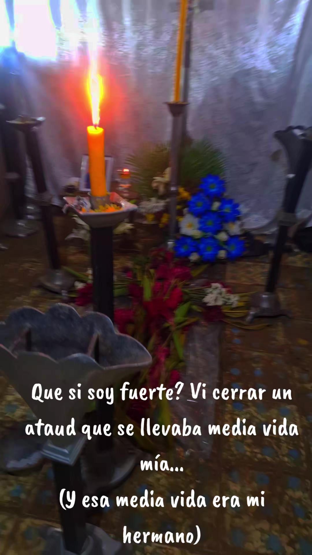 @🇸🇻tefy🇸🇻