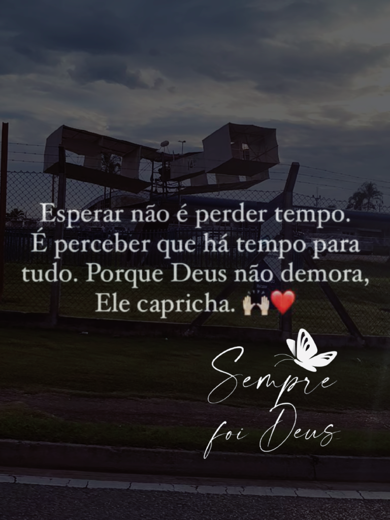 @vanamenezes1