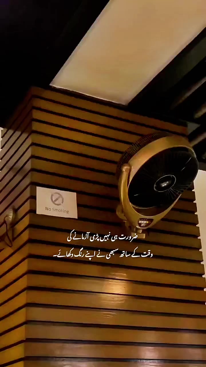@Aesthetic Vibes