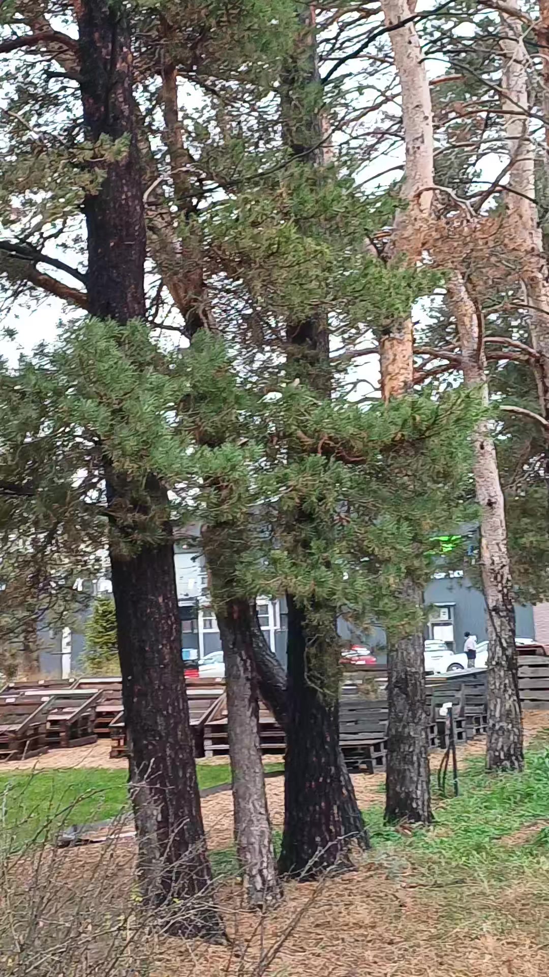 @Рамиль Абилов