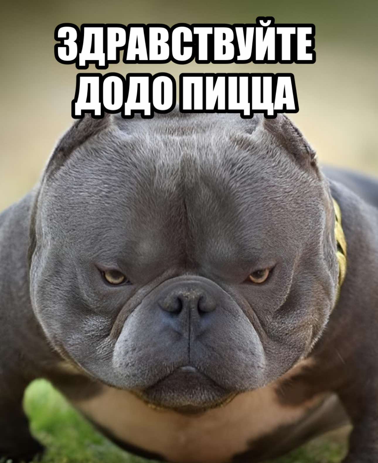 @Uncle Knuckles