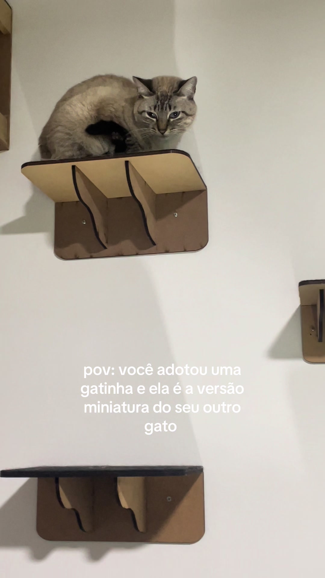 @Brisa&ensp;Maria&ensp;e&ensp;Antonio&ensp;Carlos