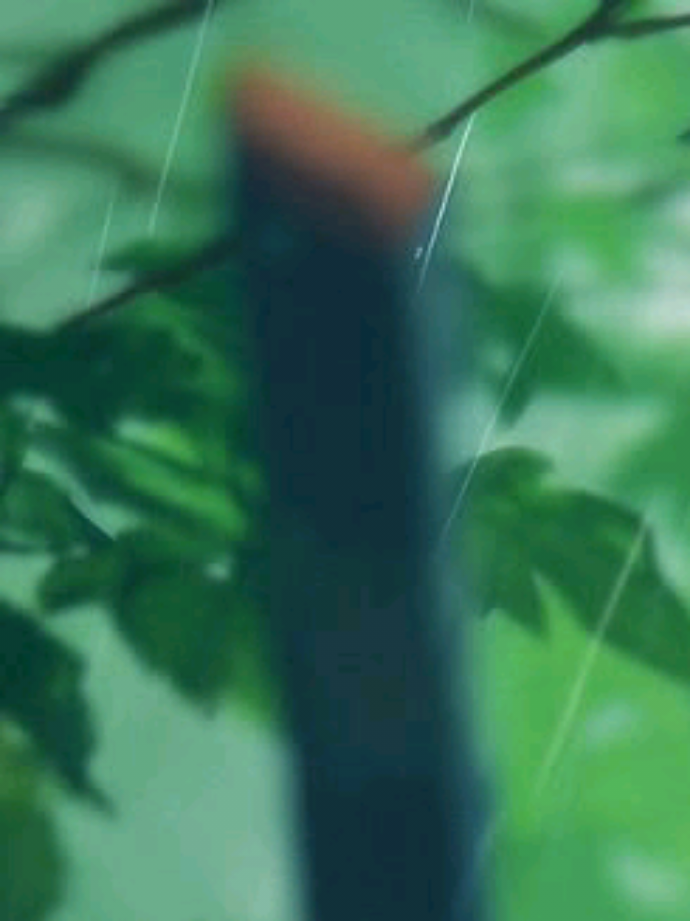 @ʀʏʏ.