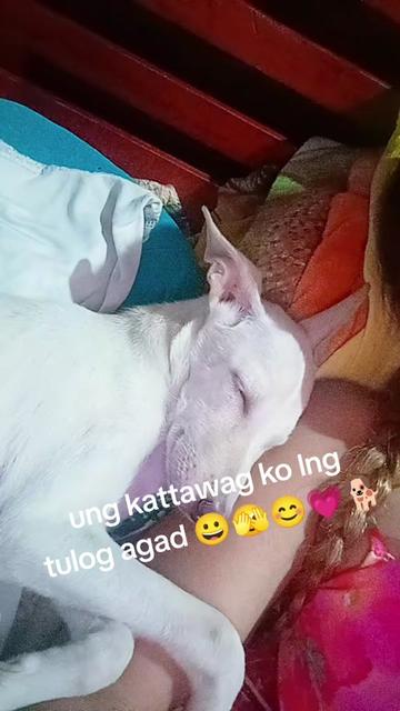 @*£`~๐โจ Pangit Ako โจ๐๐๐๐๐ป