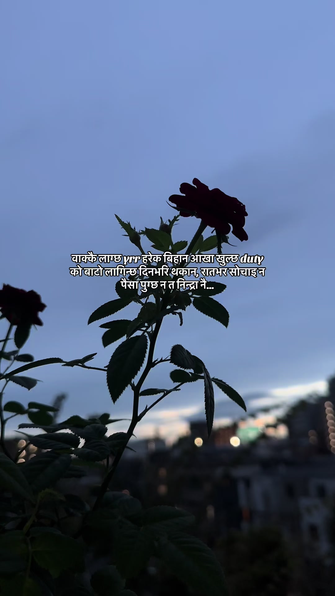 @🦋🕊️.....