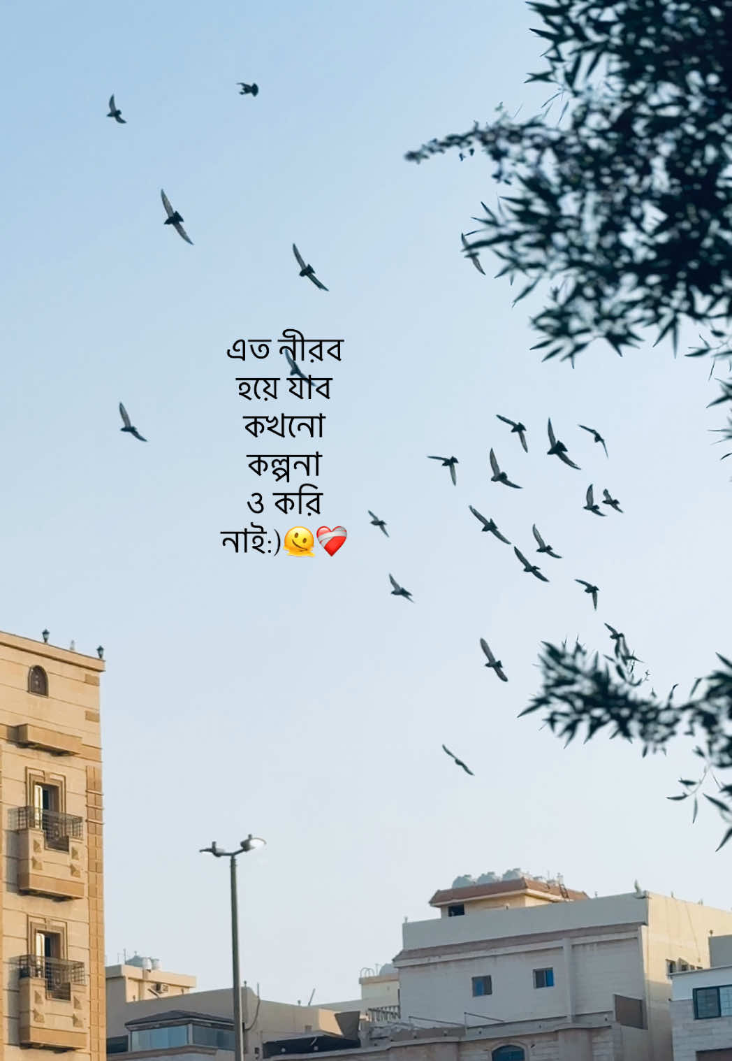 @𝐒𝐈 𝐘 𝐀𝐌 