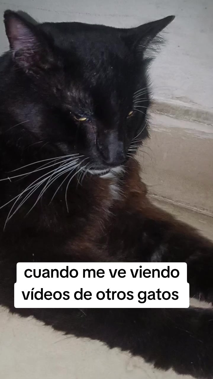 @Andreina