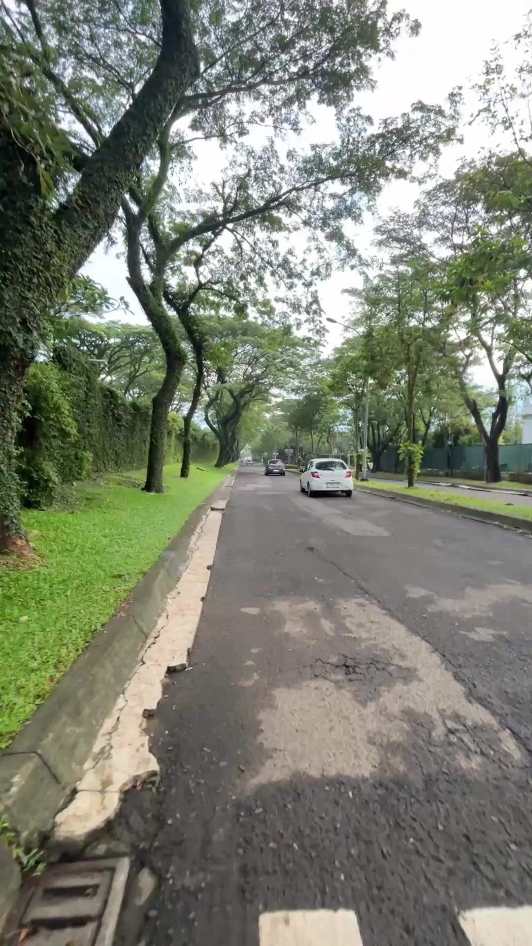 @chia pasaribu