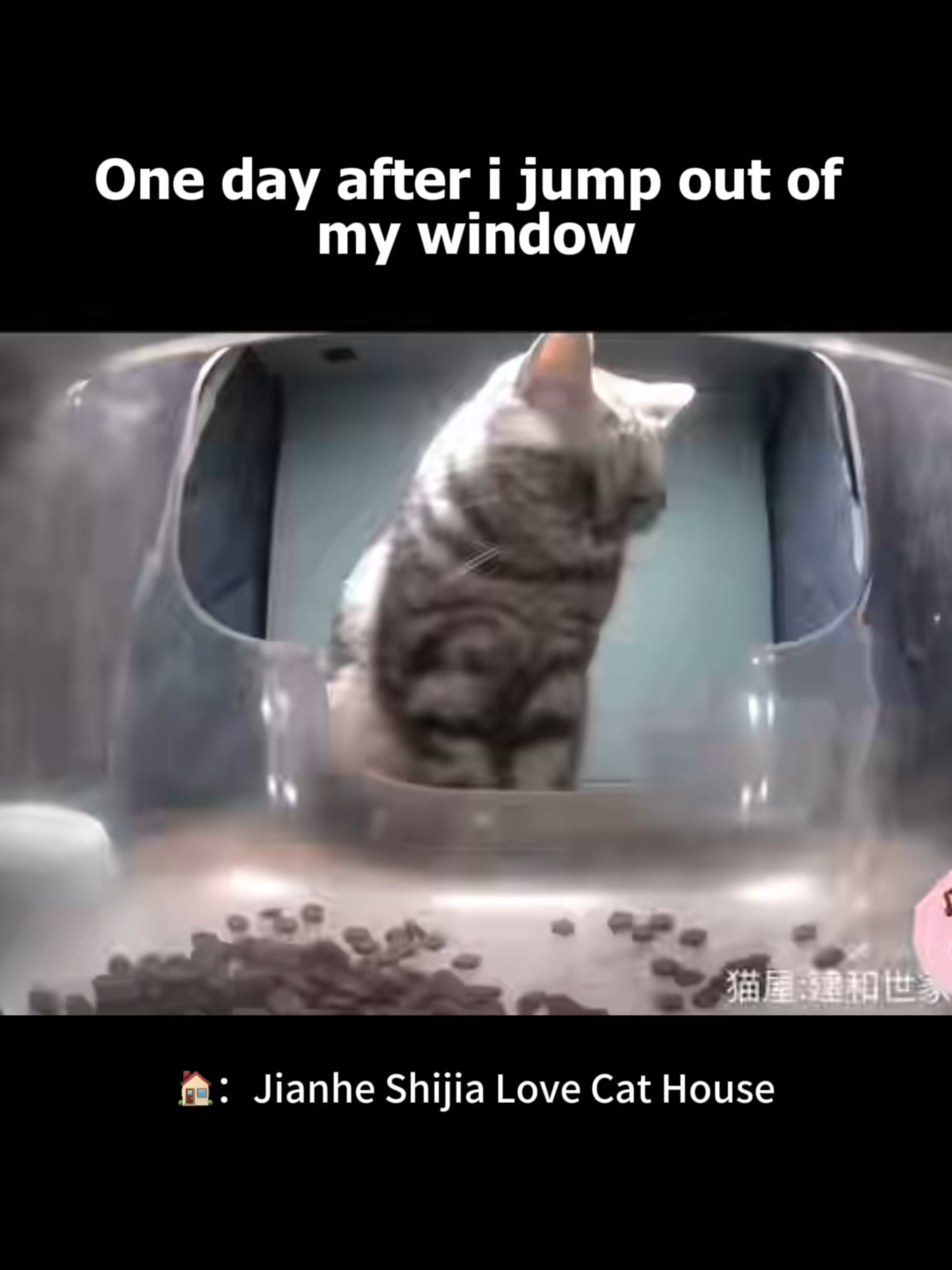 @Purrrr_eliza17
