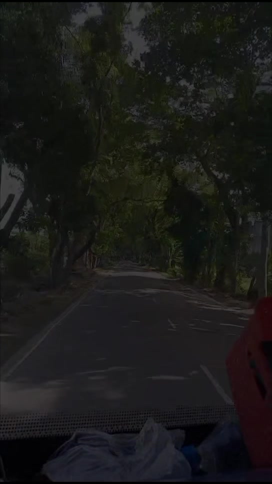 @Avijeet