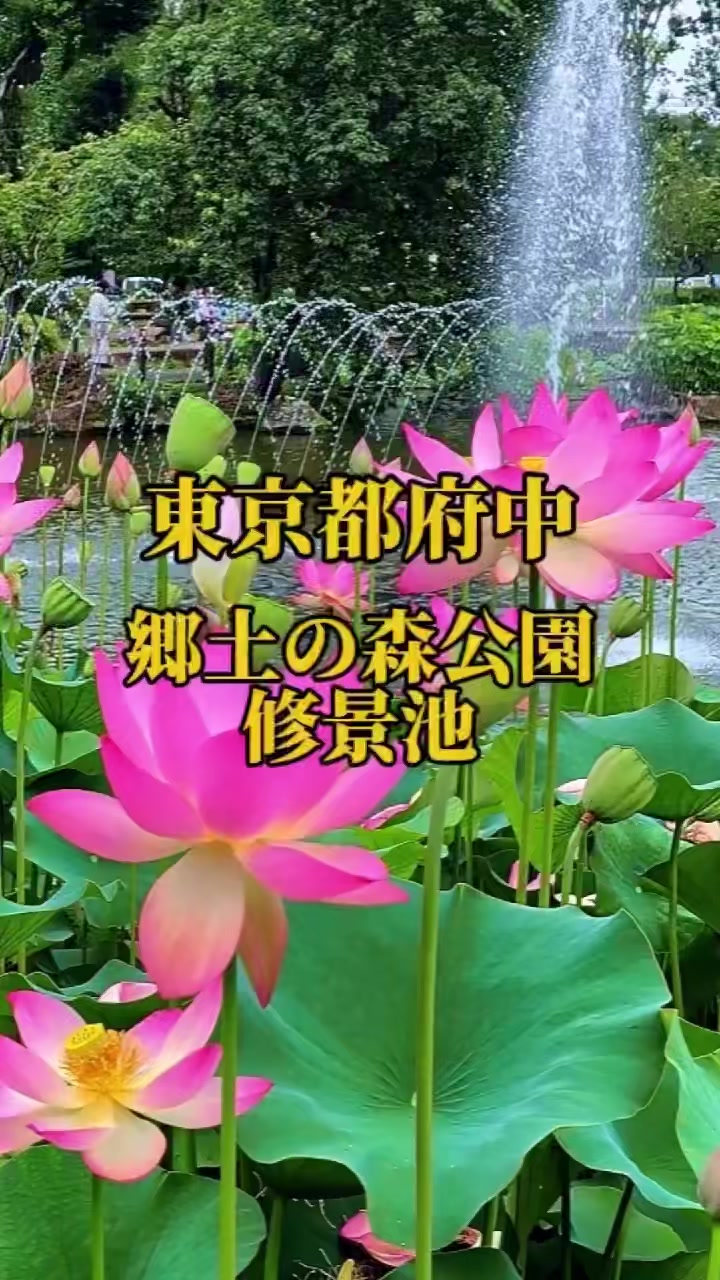 @ðžShinominðžé¢æ±æ ãã¹ãããå·¡ã