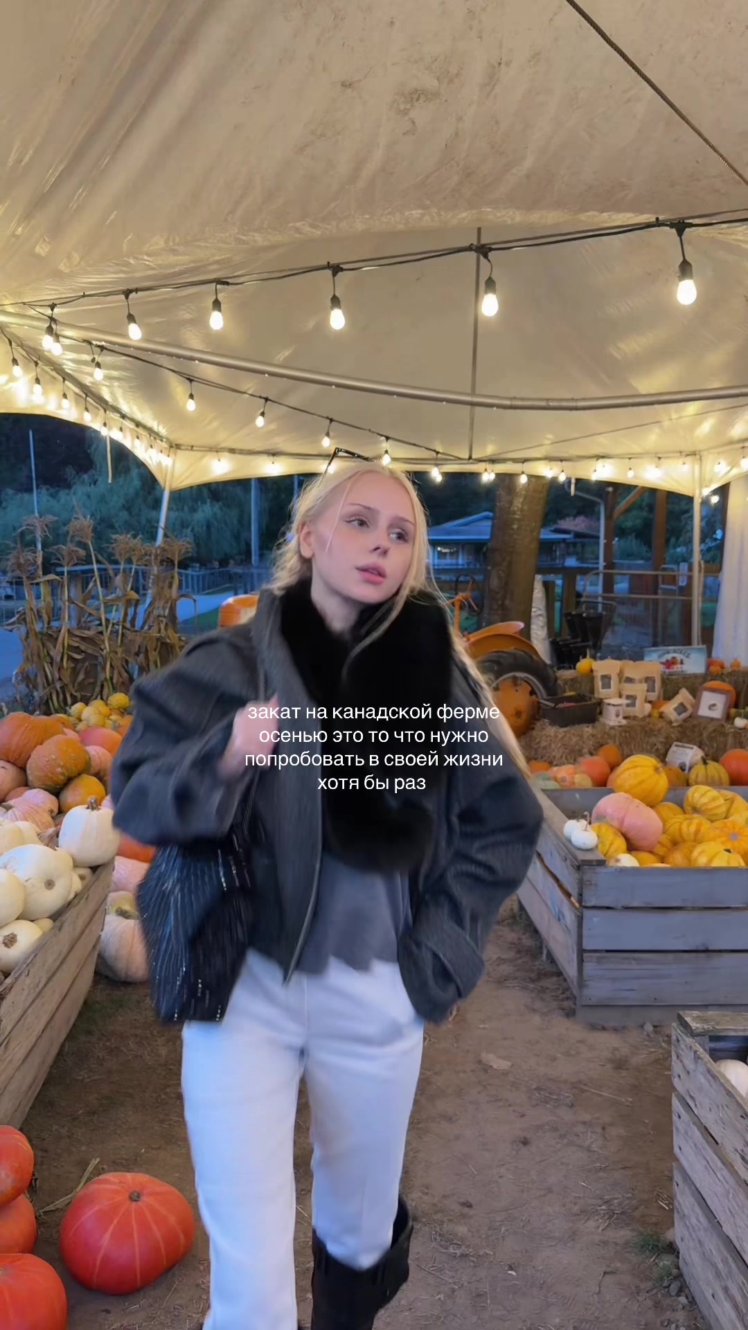 @polina