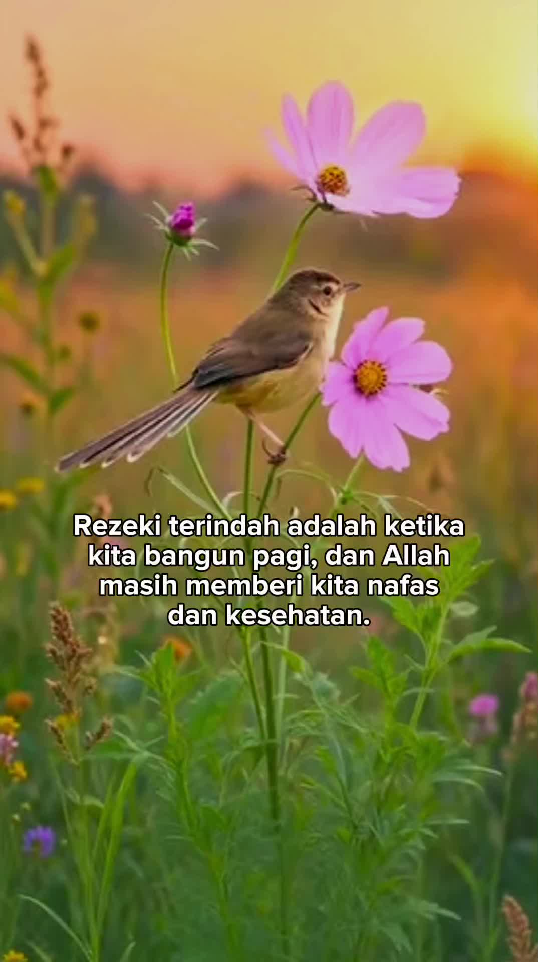 @Ctsuhaidah81