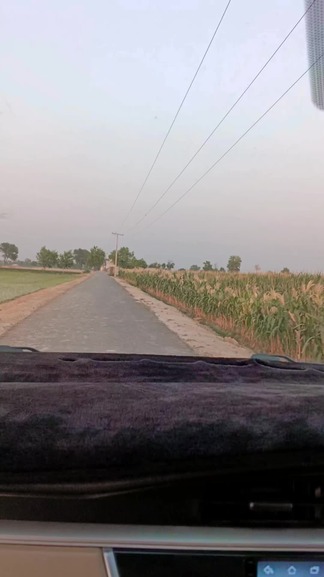 @Hanنan Bhutta🤤🤍🏴