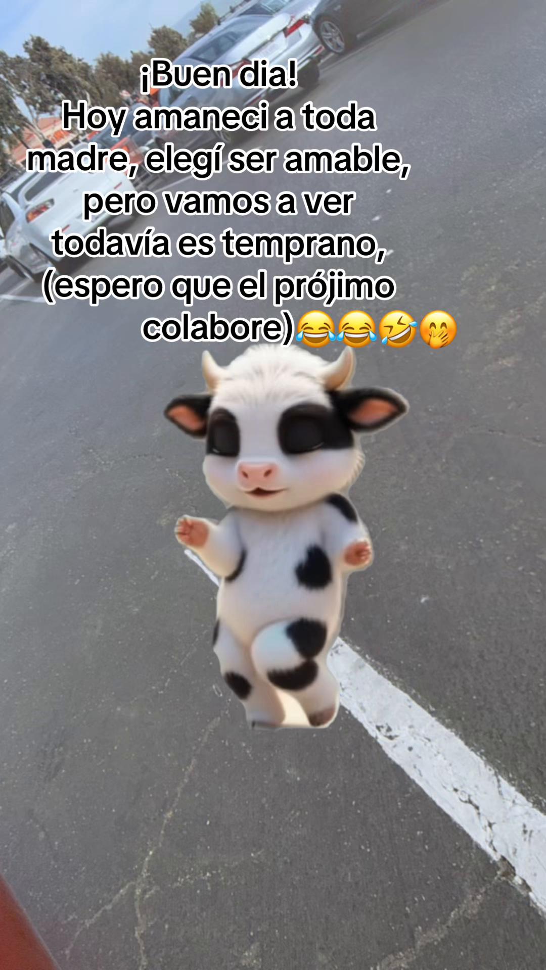 @🦋Maricela🇬🇹🧚♀️👑🦋