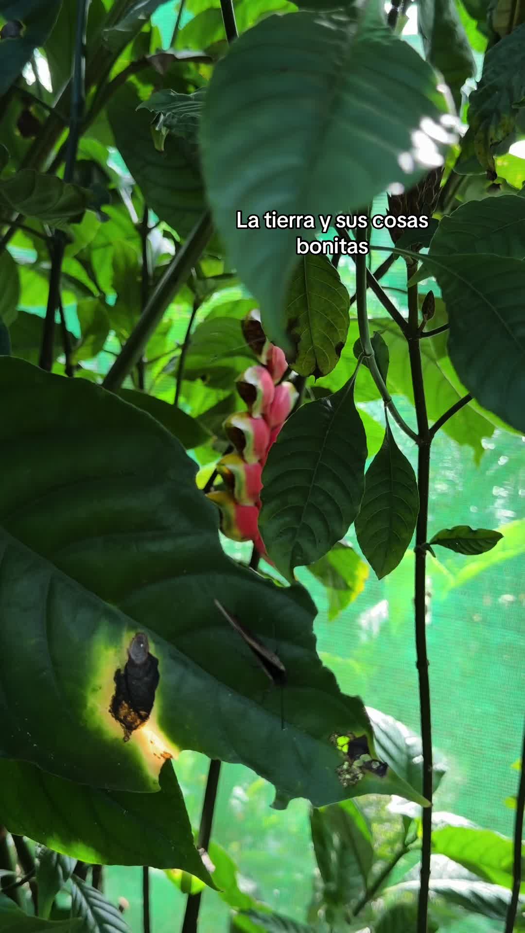 @LesliiR
