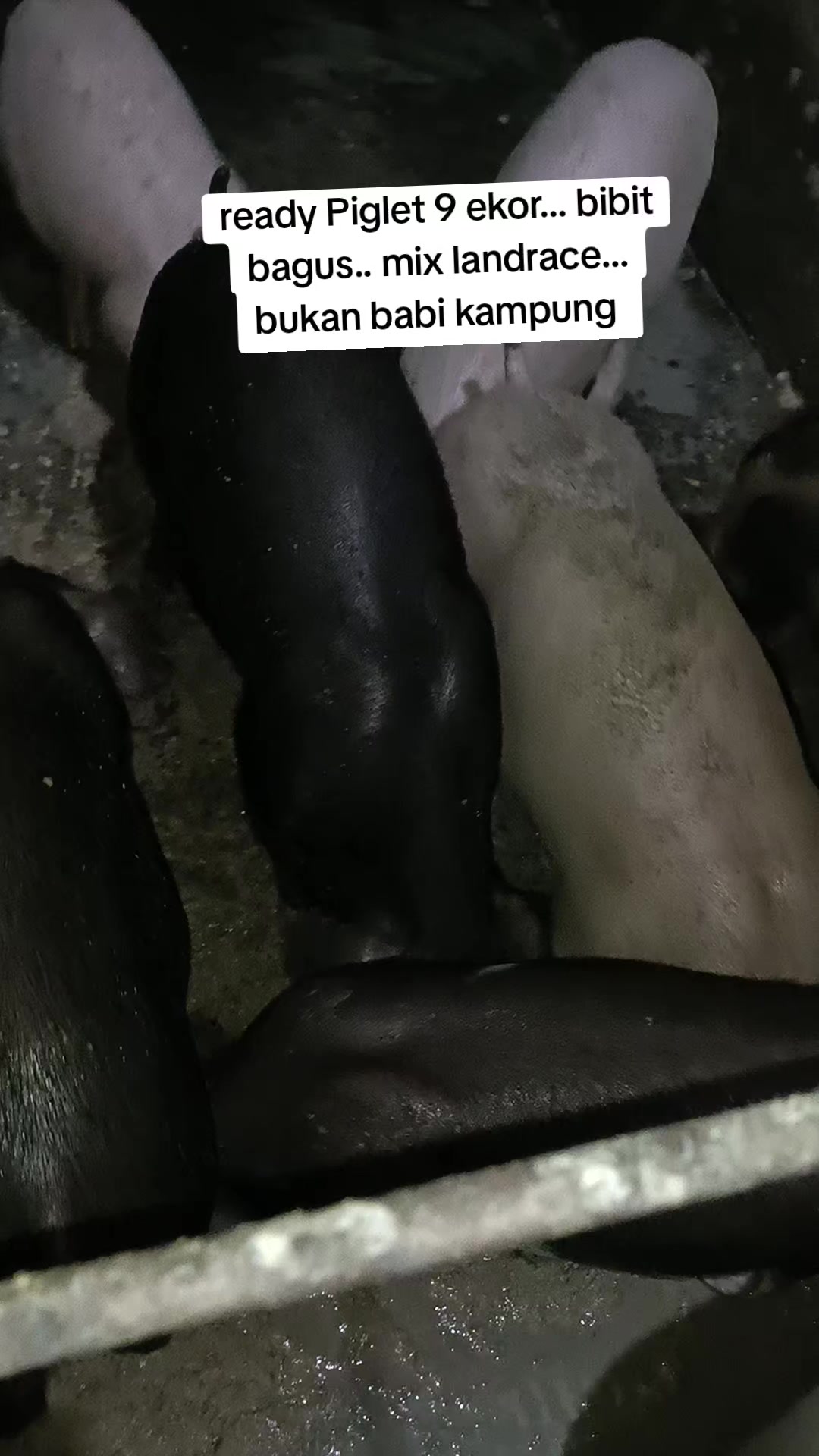 @mama Brigita