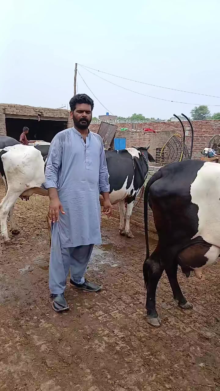 @Farming and Business Ideas