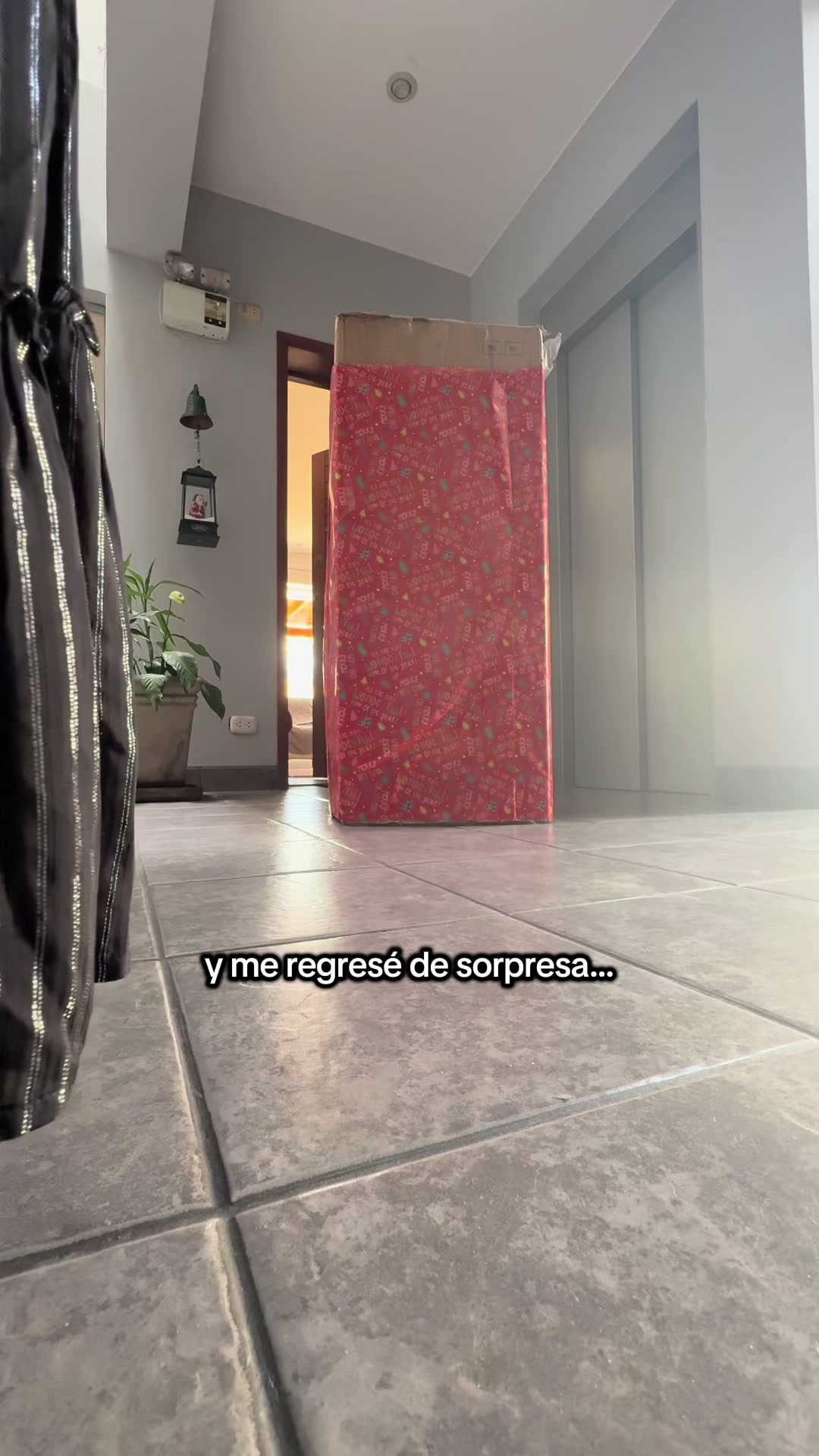 @Camille Rouillon
