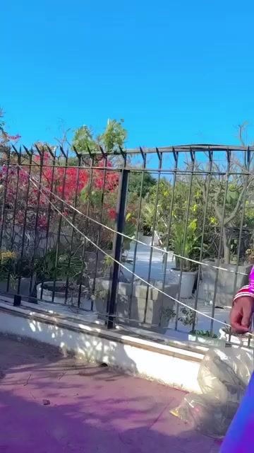 @Amrita Surywanshi