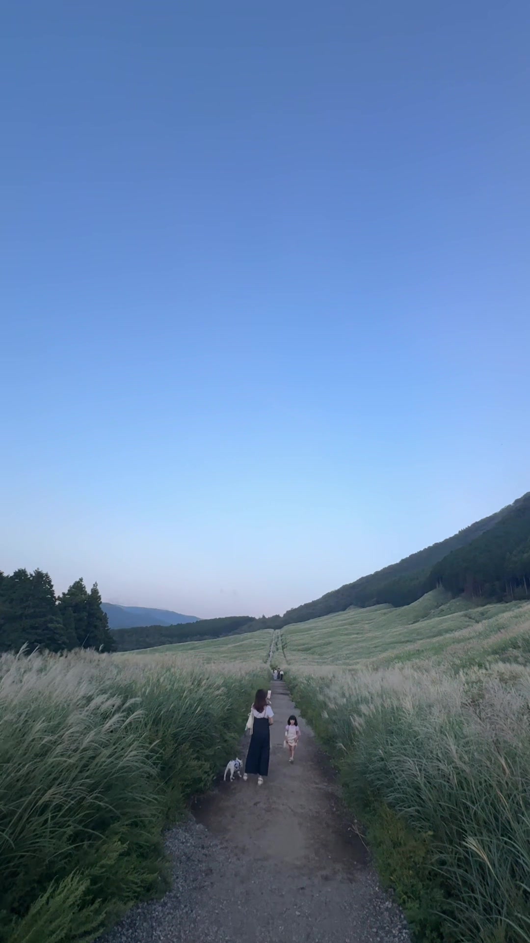 @よめひめ。