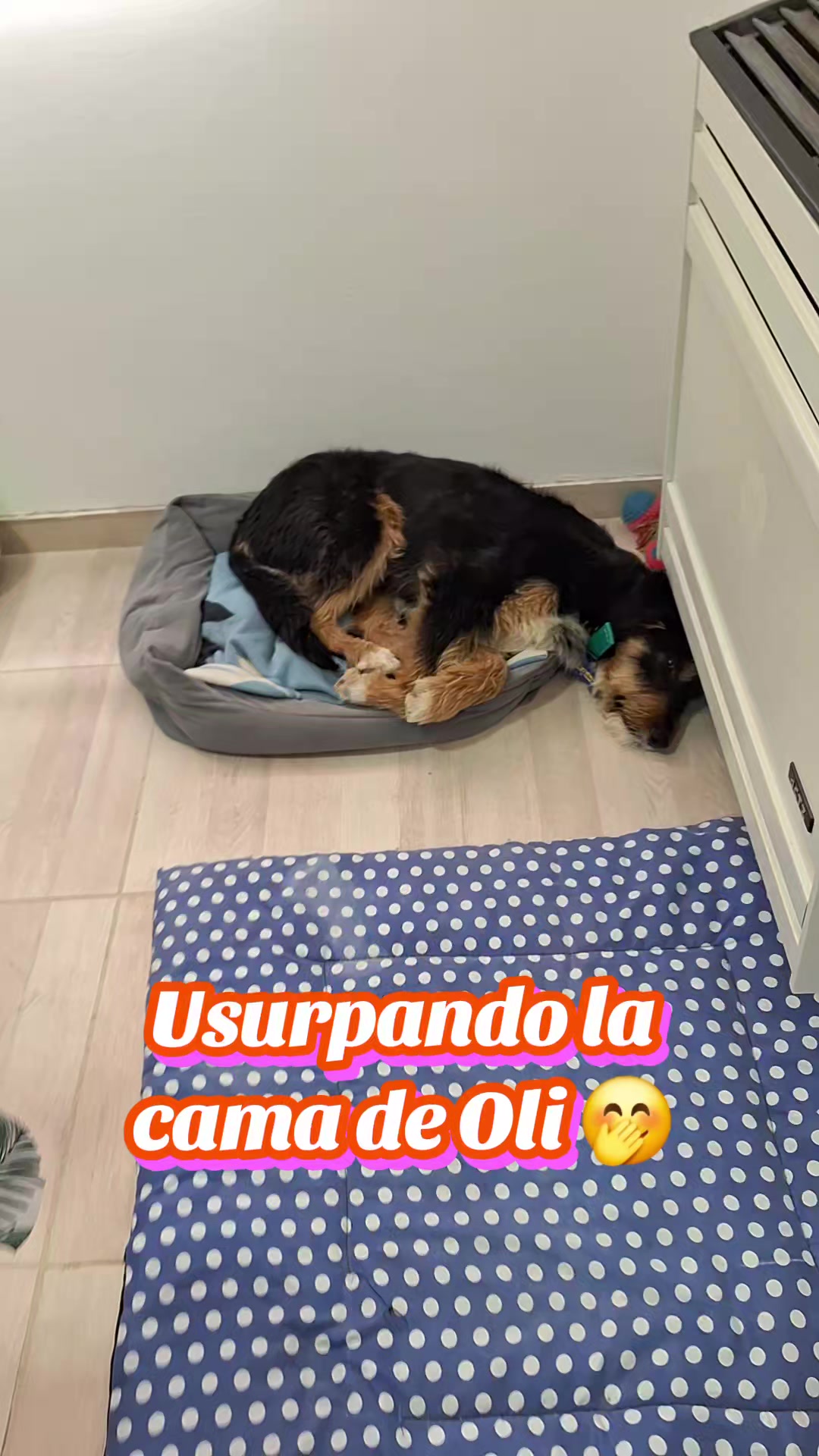 @Ro Alonso