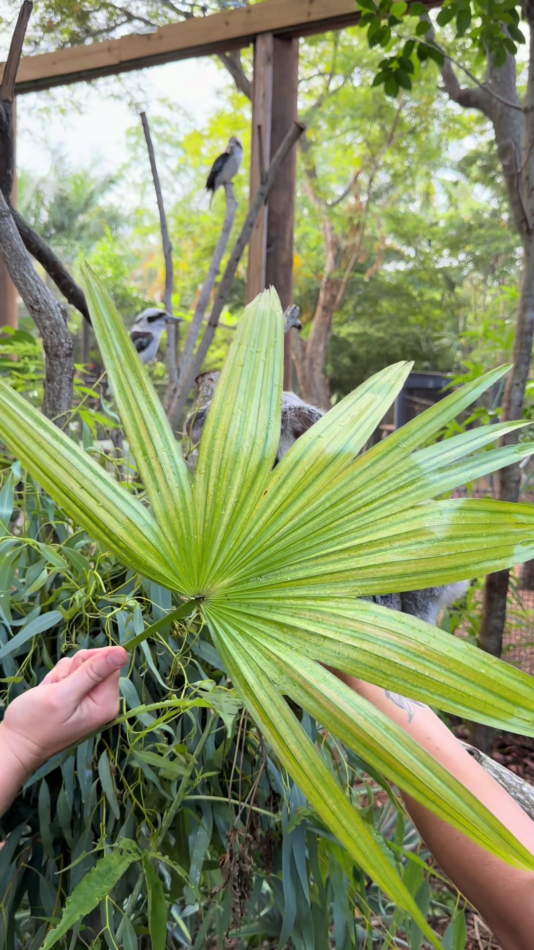 @Palm Beach Zoo
