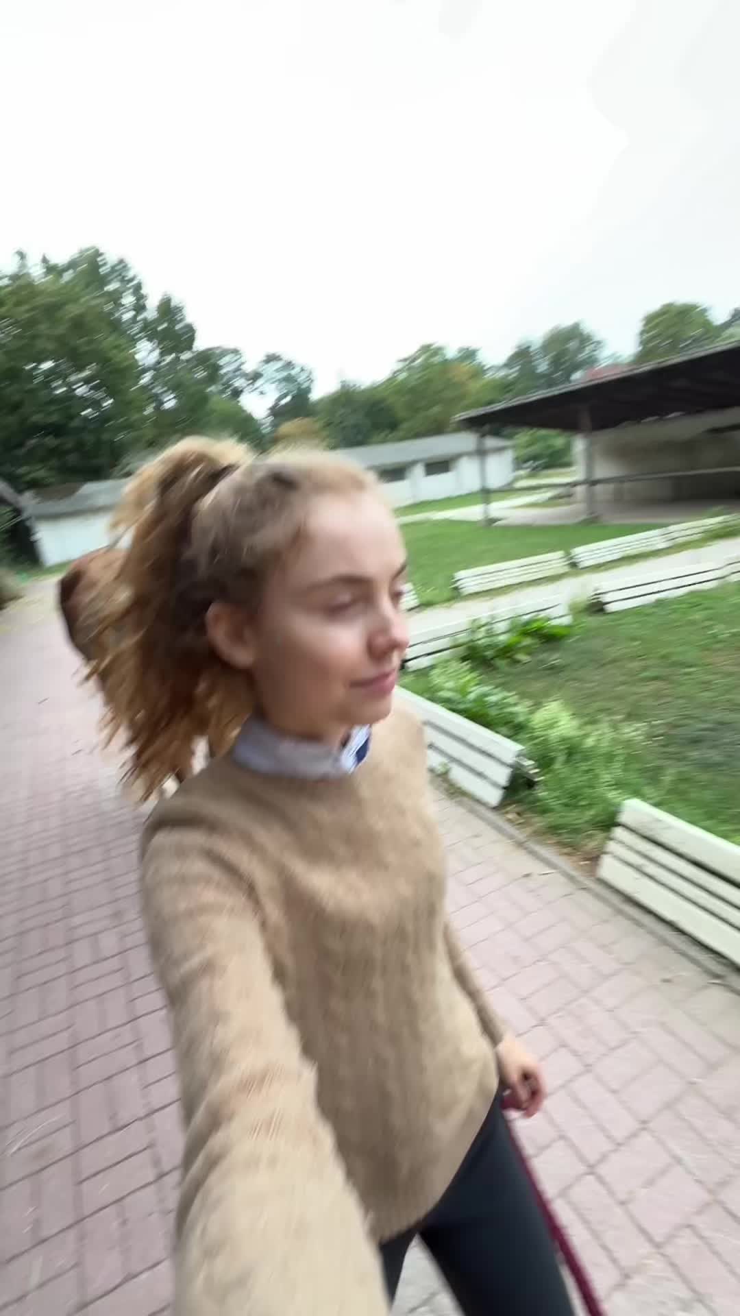@evis.pferdechaos