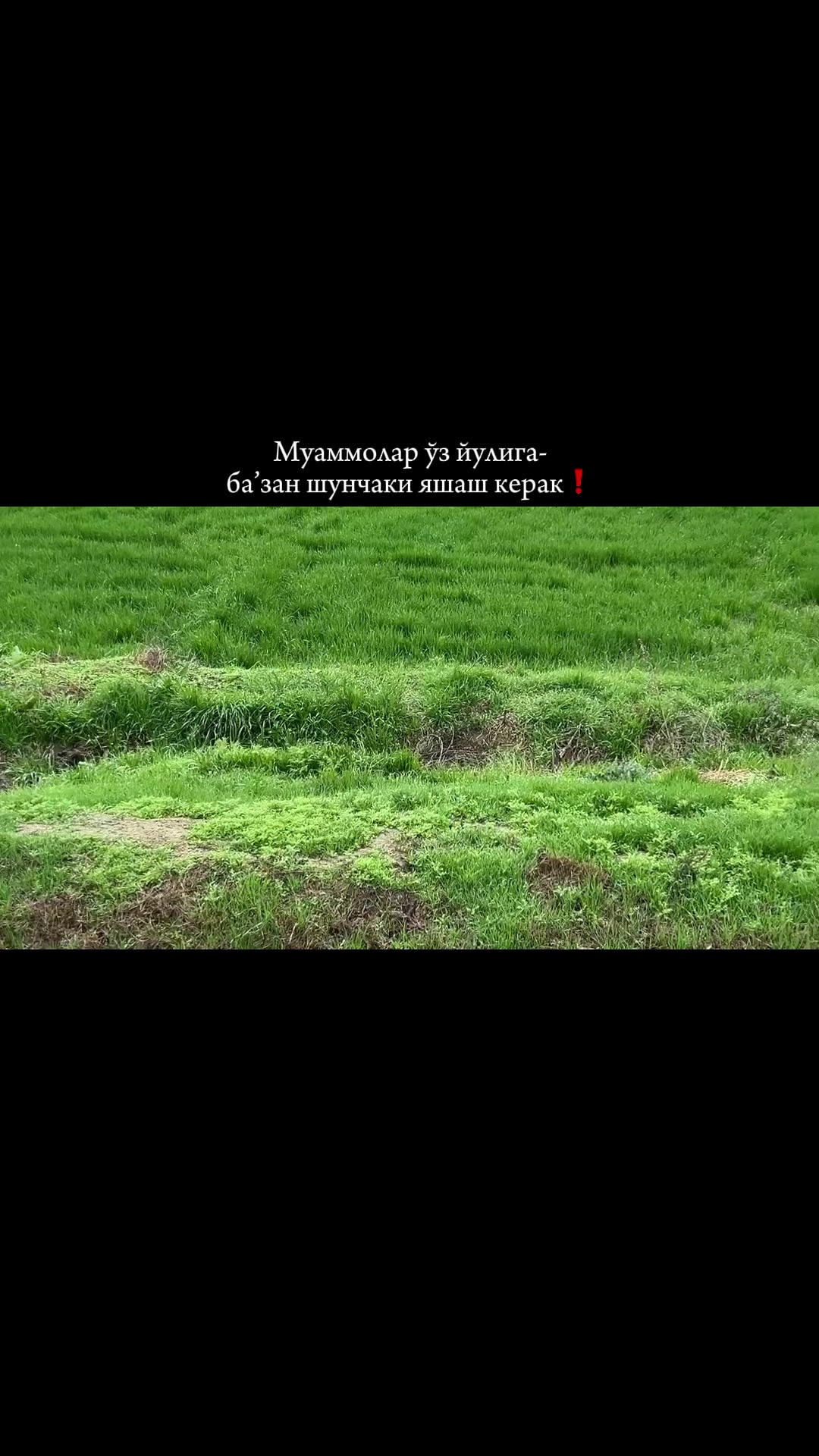 @Мадаминов