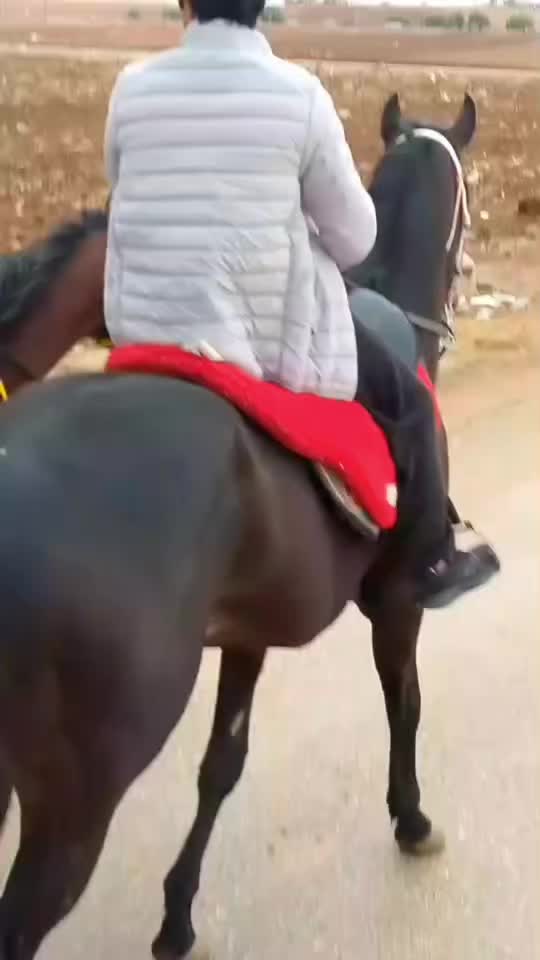 @عبدالله المطيري