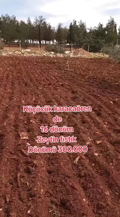 @canpolat emlak 27