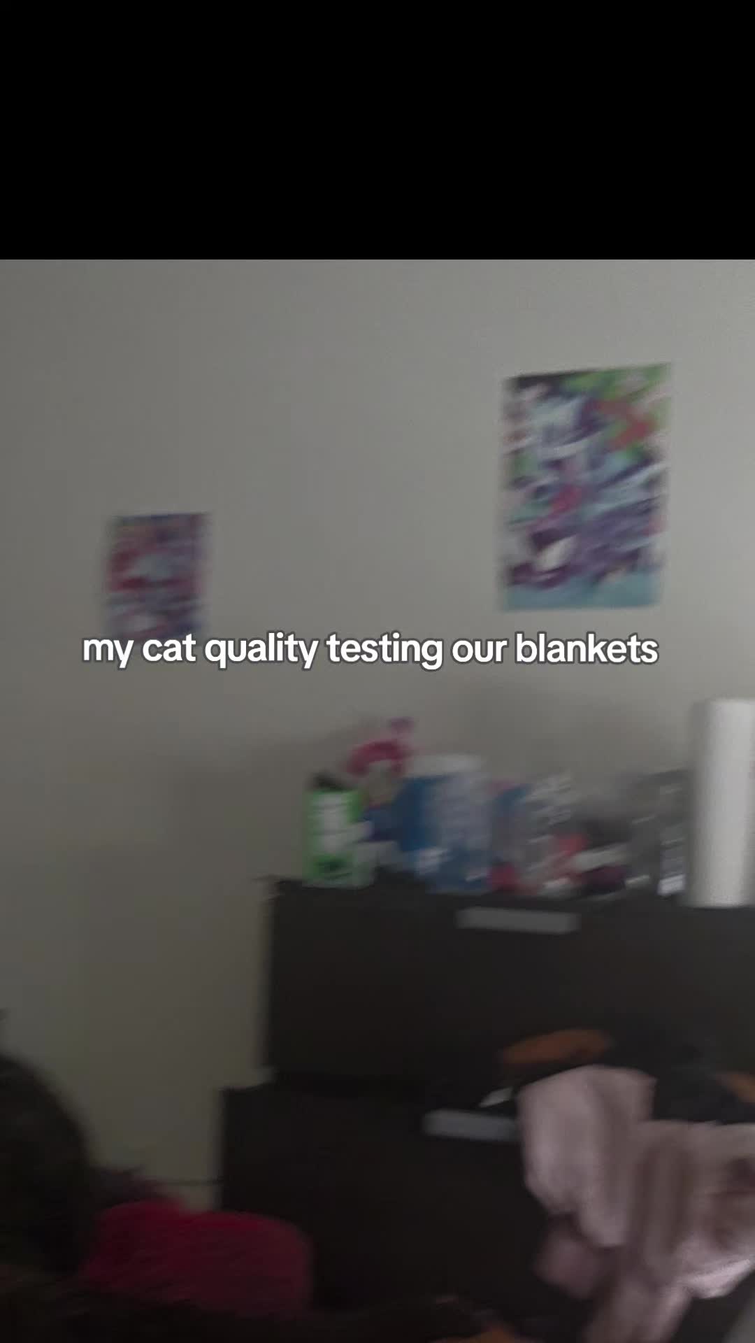 @samifrfx