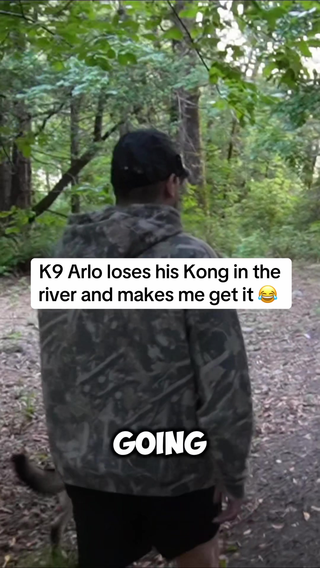 @K9 Arlo