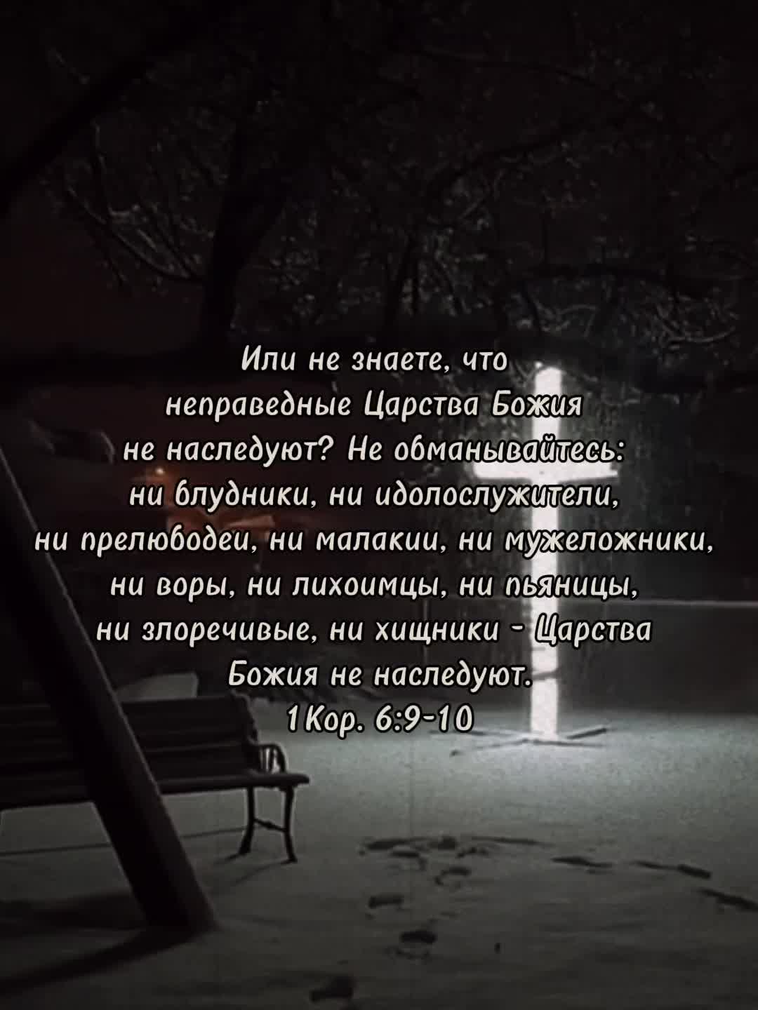 @Голубь ☦️