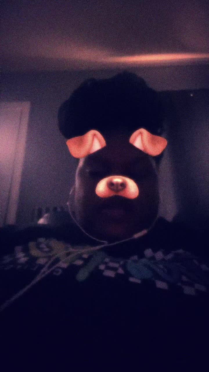 @Tierraprather379 🩶🖤