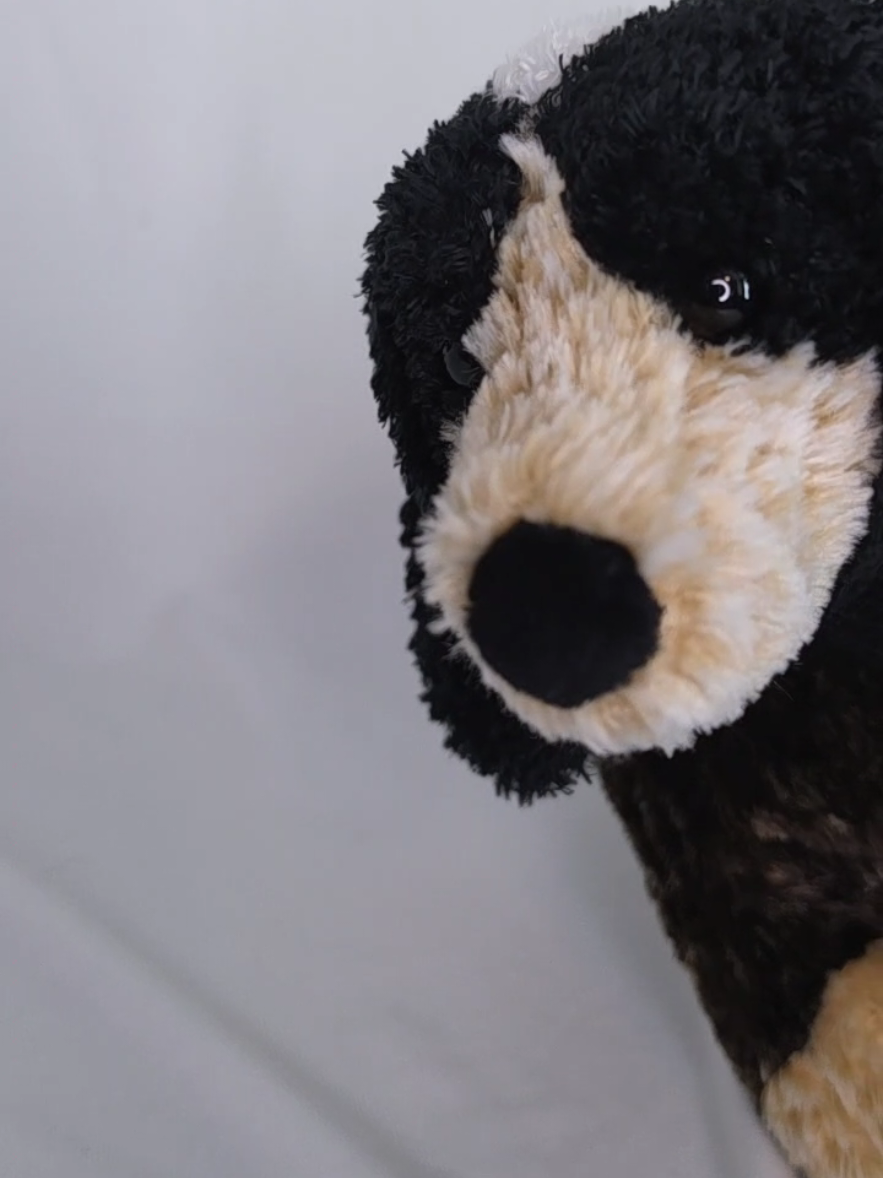 @TreasureDenPlush
