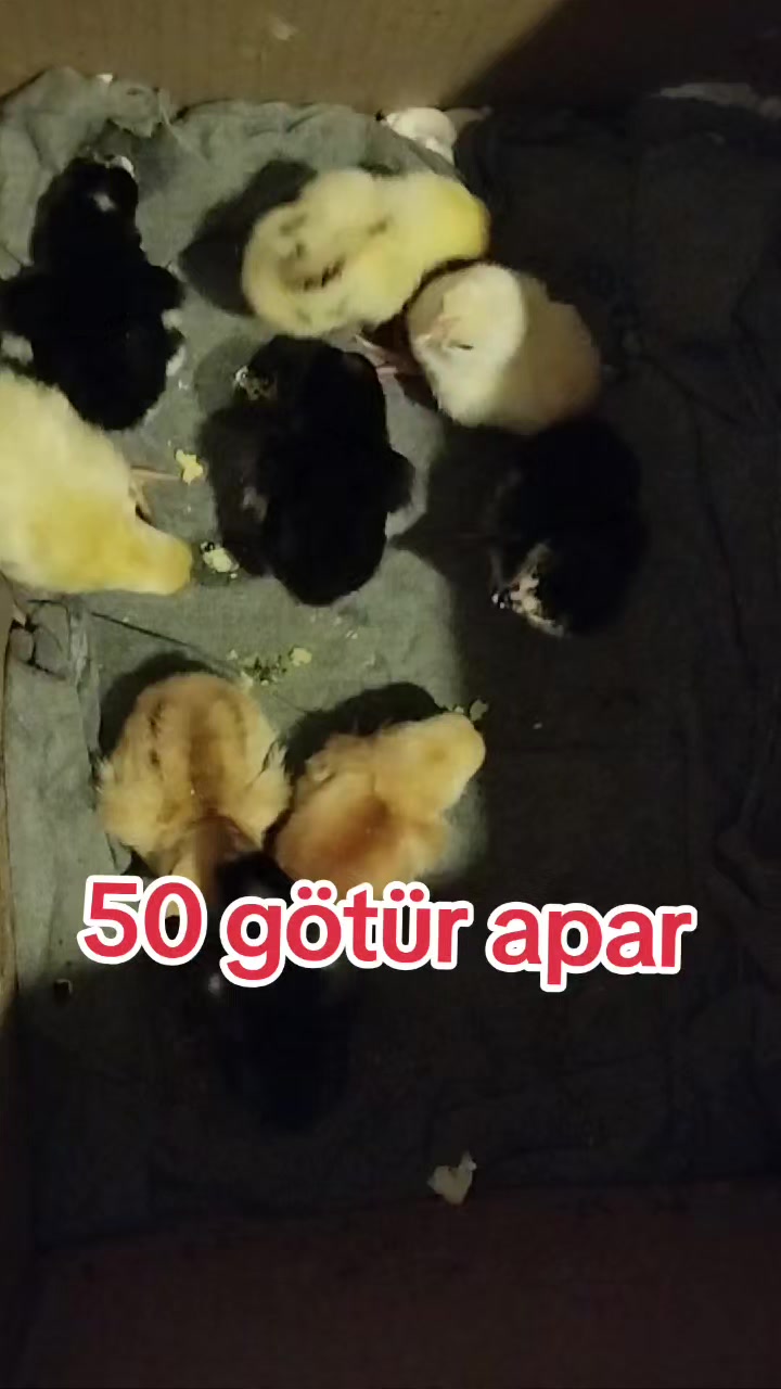 @kurdemir heyrati satisi