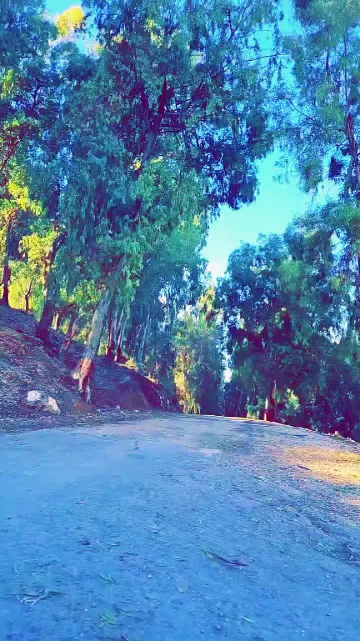 @نوارة 41