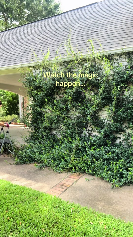 @HomebodyShan