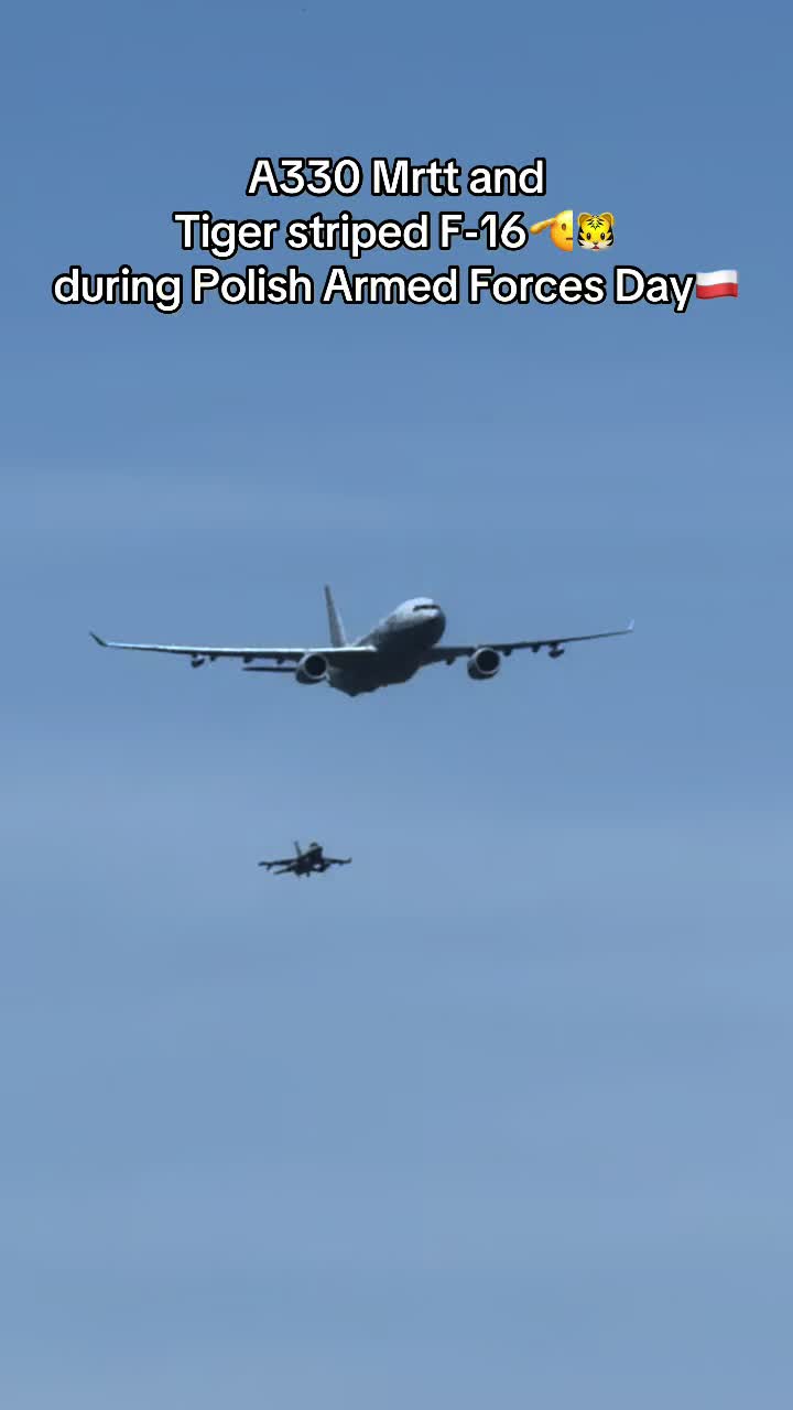@🛫( T_T)