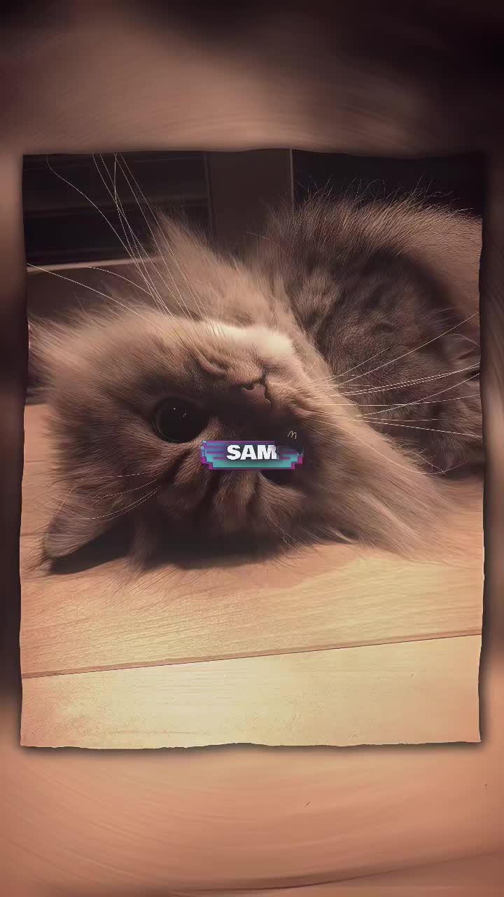 @Uzumaki Samsź 𝙂𝙂