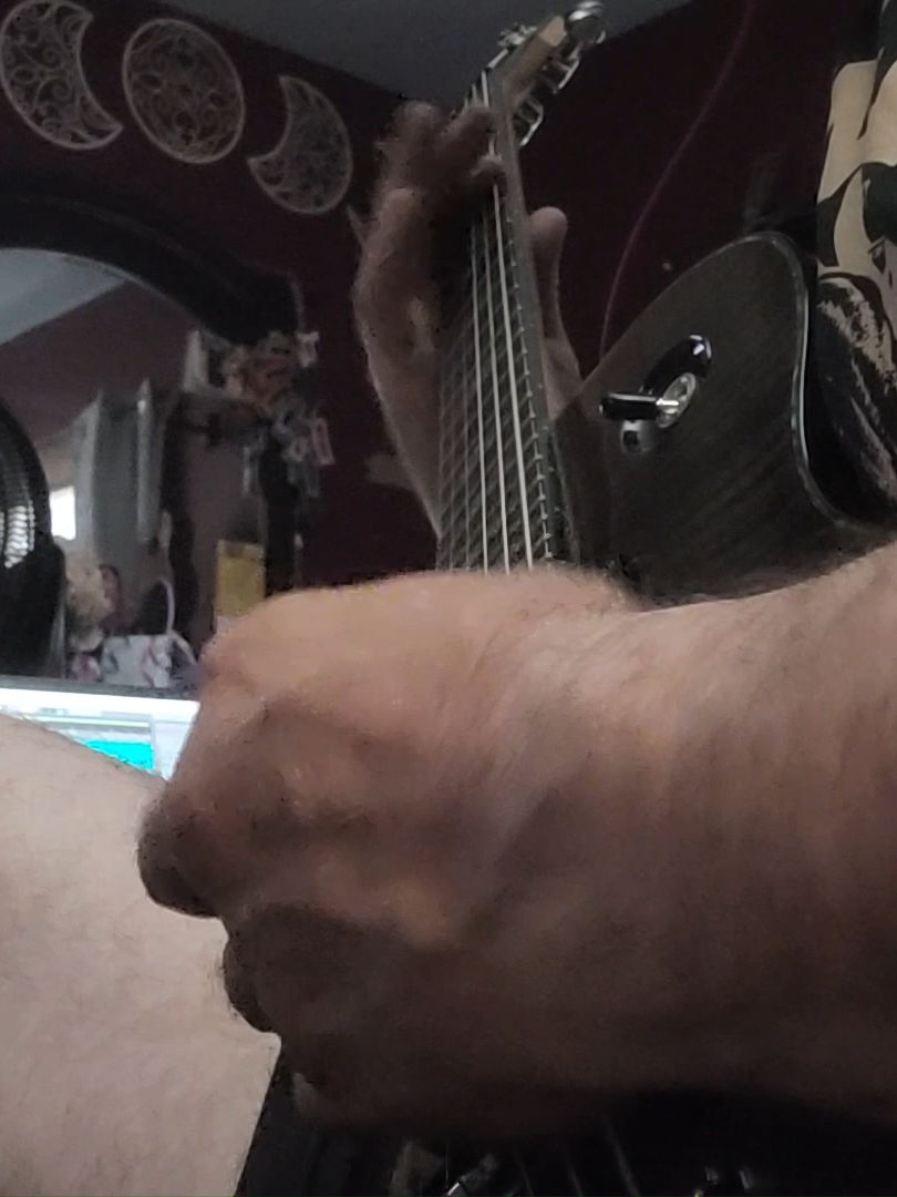 @TreeMonkeyGuitarist