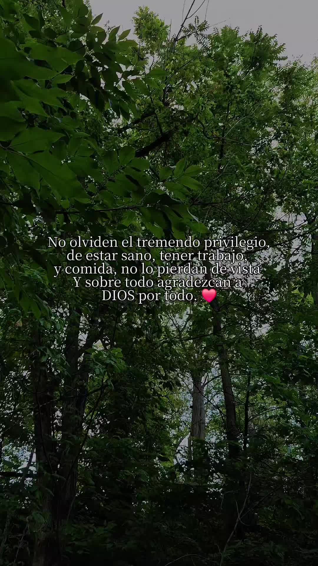 @Raquel 0204