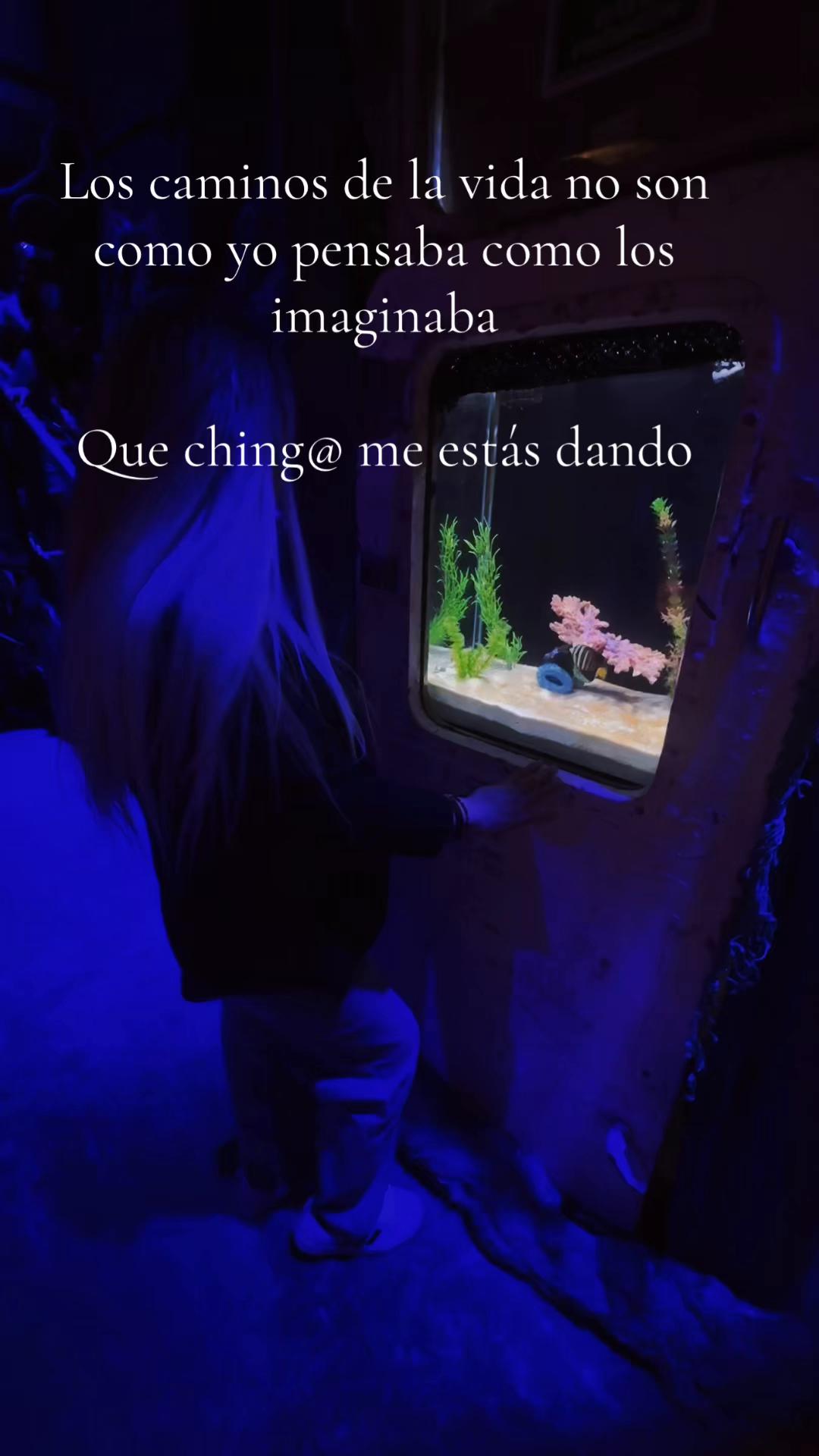 @๐บ๐บMapi๐บ๐บ