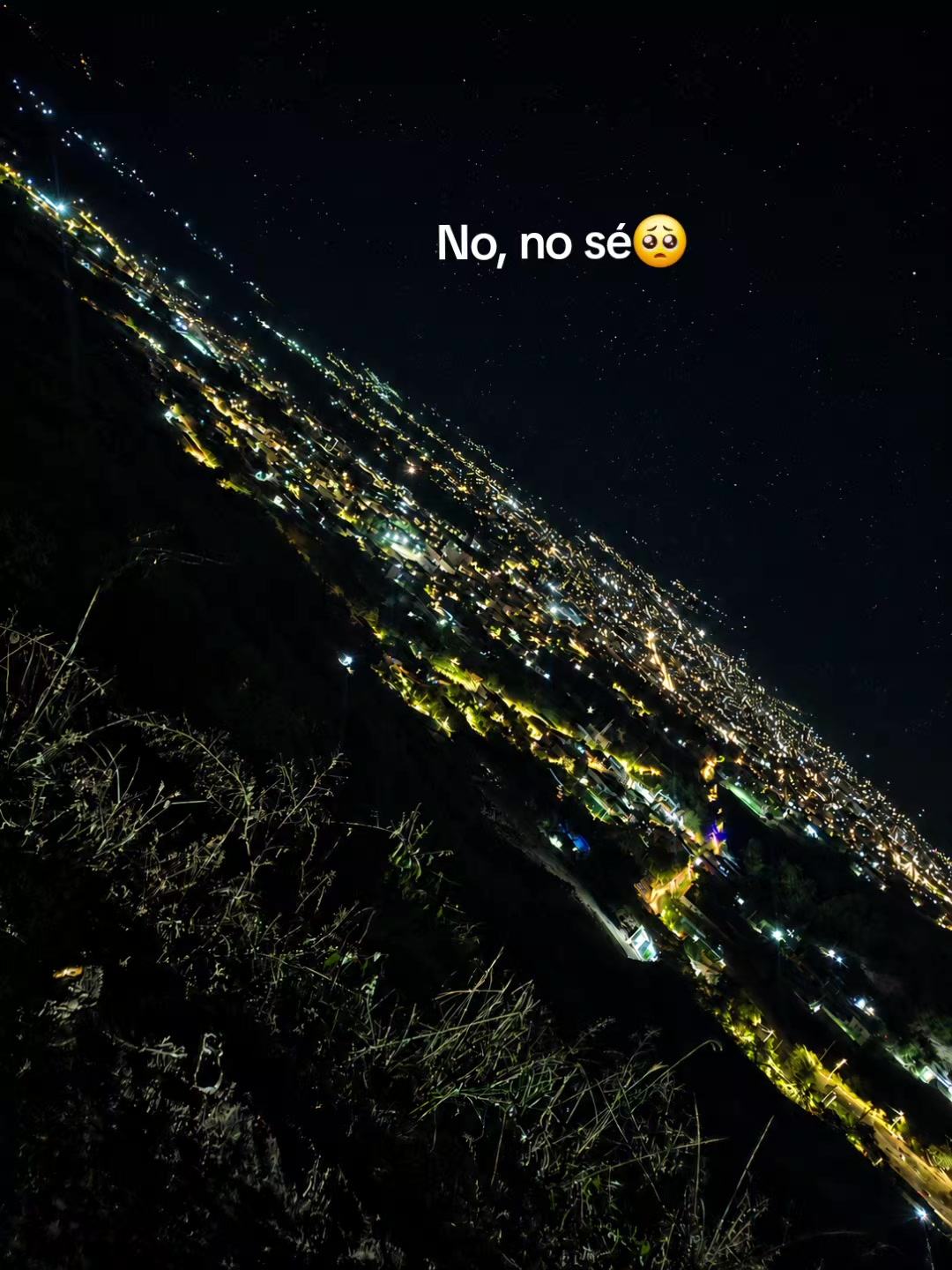@Lucero Guevara