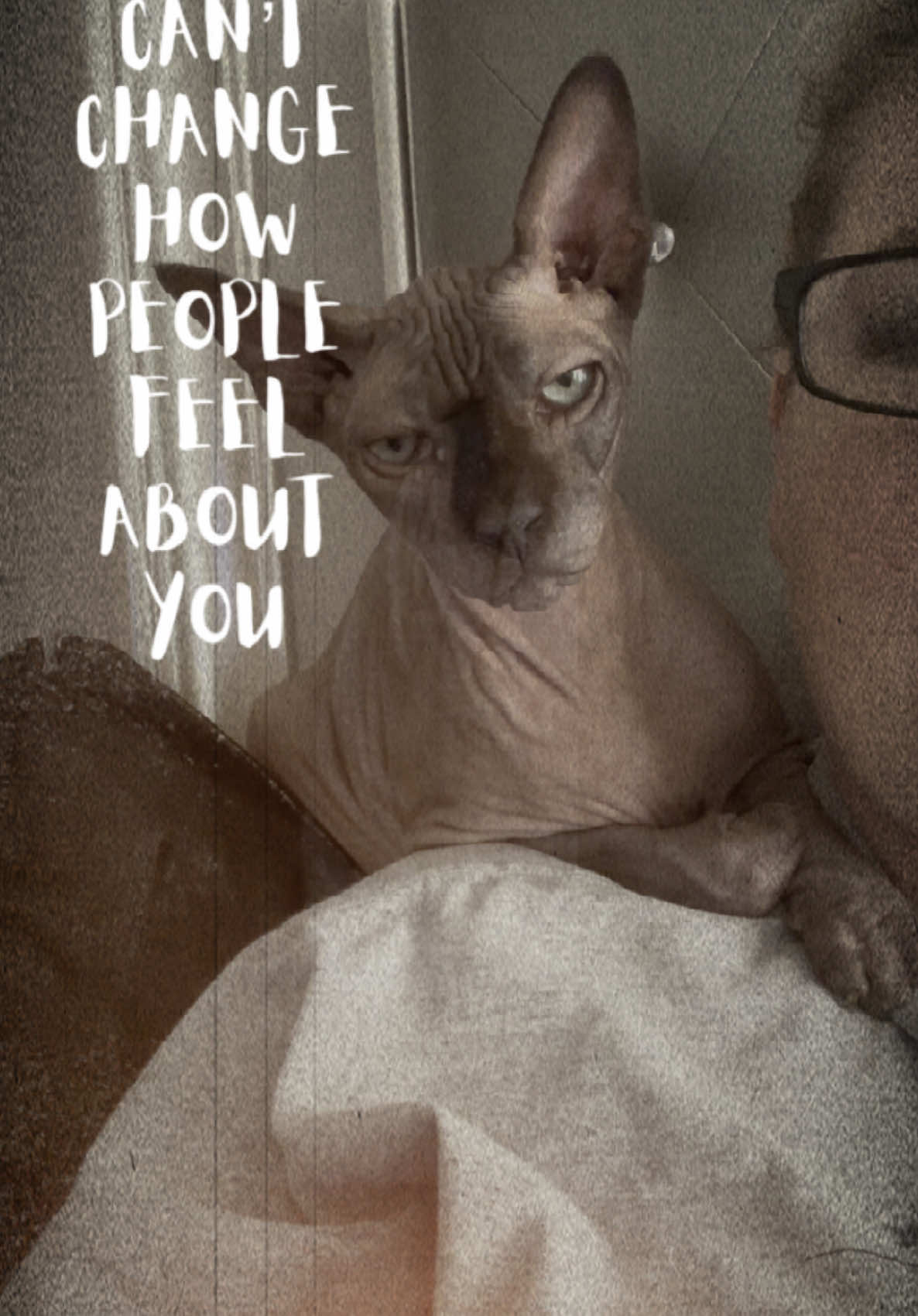 @MySphynxLife