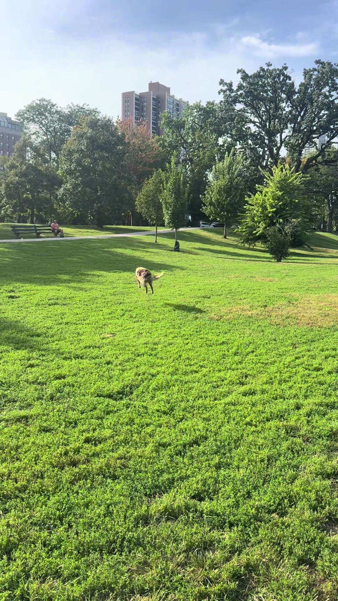 @Caitlin Yatsuhashi